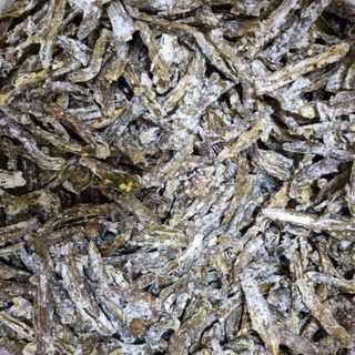 훈&팜님의 👍올해 나의 최고 자랑은? · 참여글 작성글 사진