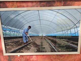 사이공박님의 자유주제 · 사진전 작성글 사진