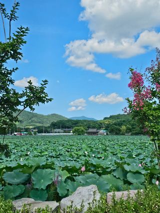 배성은365님의 연말인사 같이해요💕 · 참여글 작성글 사진