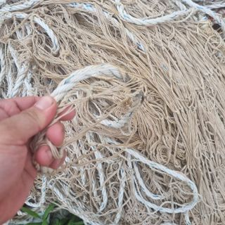 김민철님의 작성글 사진