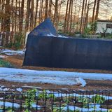 팜모닝 자유주제·자유게시판 게시글 이미지