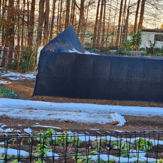 김현우님의 자유주제 · 자유게시판 작성글 사진