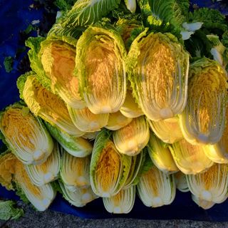 훈&팜님의 👍올해 나의 최고 자랑은? · 참여글 작성글 사진