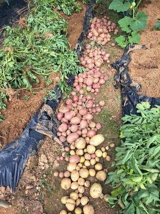 온시디움님의 👍올해 나의 최고 자랑은? · 참여글 작성글 사진