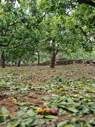 배성은365님의 연말인사 같이해요💕 · 참여글 작성글 사진