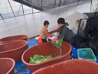 천년의사랑님의 👍올해 나의 최고 자랑은? · 참여글 작성글 사진