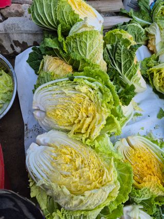 꽃사랑님의 👍올해 나의 최고 자랑은? · 참여글 작성글 사진