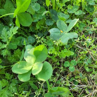 박정희 님의 👍올해 나의 최고 자랑은? · 참여글 작성글 사진