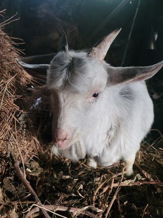 고기만님의 자유주제 · 사진전 작성글 사진