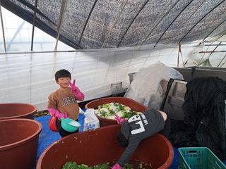 천년의사랑님의 👍올해 나의 최고 자랑은? · 참여글 작성글 사진