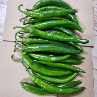 훈&팜님의 👍올해 나의 최고 자랑은? · 참여글 작성글 사진