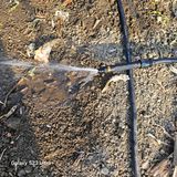 팜모닝 자유주제·자유게시판 게시글 이미지