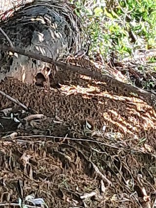 천년의사랑님의 👍올해 나의 최고 자랑은? · 참여글 작성글 사진