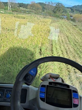 천년의사랑님의 👍올해 나의 최고 자랑은? · 참여글 작성글 사진