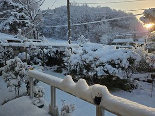 김제일주농장님의 자유주제 · 사진전 작성글 사진