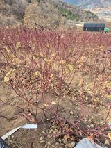 팜모닝 · 게시글 이미지