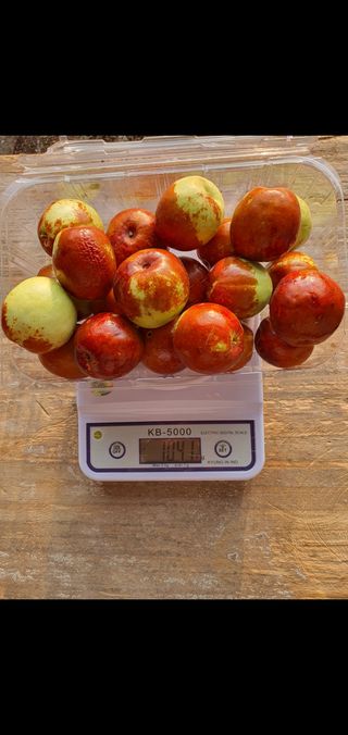 차상철님의 👍올해 나의 최고 자랑은? · 참여글 작성글 사진