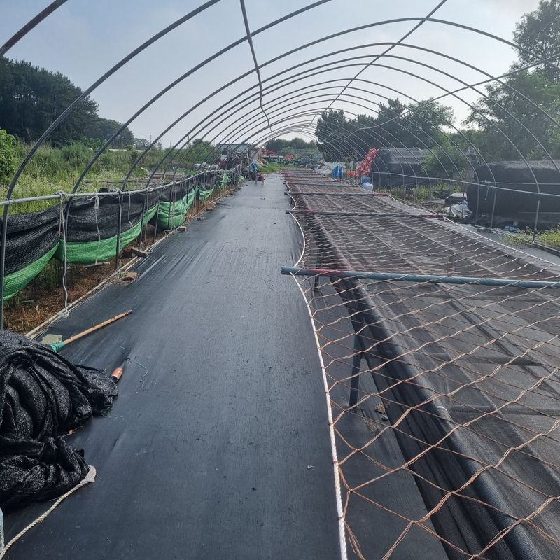 김민철님의 장터 판매 상품 [9mm 해태망(고급) 한번써본 사람이 다시사는 제품 산양삼 생산자들 많이쓰는제품] 첨부 사진