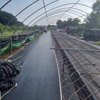 김민철님의 작성글 사진