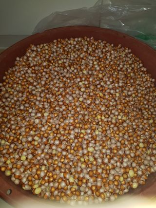 마늘 복숭아윤금자님의 작성글 사진