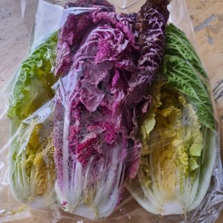 훈&팜님의 👍올해 나의 최고 자랑은? · 참여글 작성글 사진