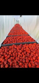 팜모닝 👍올해 나의 최고 자랑은?·참여글 게시글 이미지