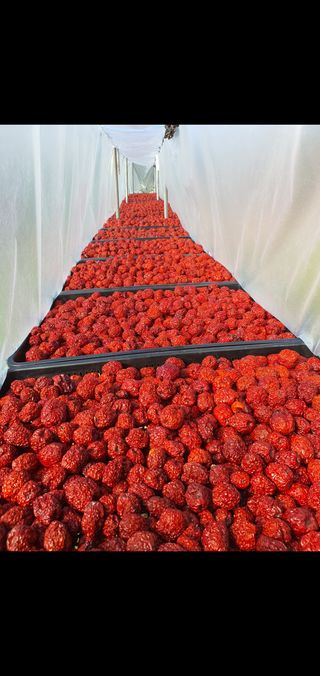 차상철님의 👍올해 나의 최고 자랑은? · 참여글 작성글 사진