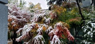 장기준님의 연말인사 같이해요💕 · 참여글 작성글 사진