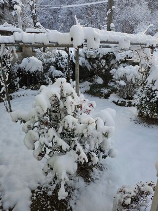 김제일주농장님의 자유주제 · 사진전 작성글 사진
