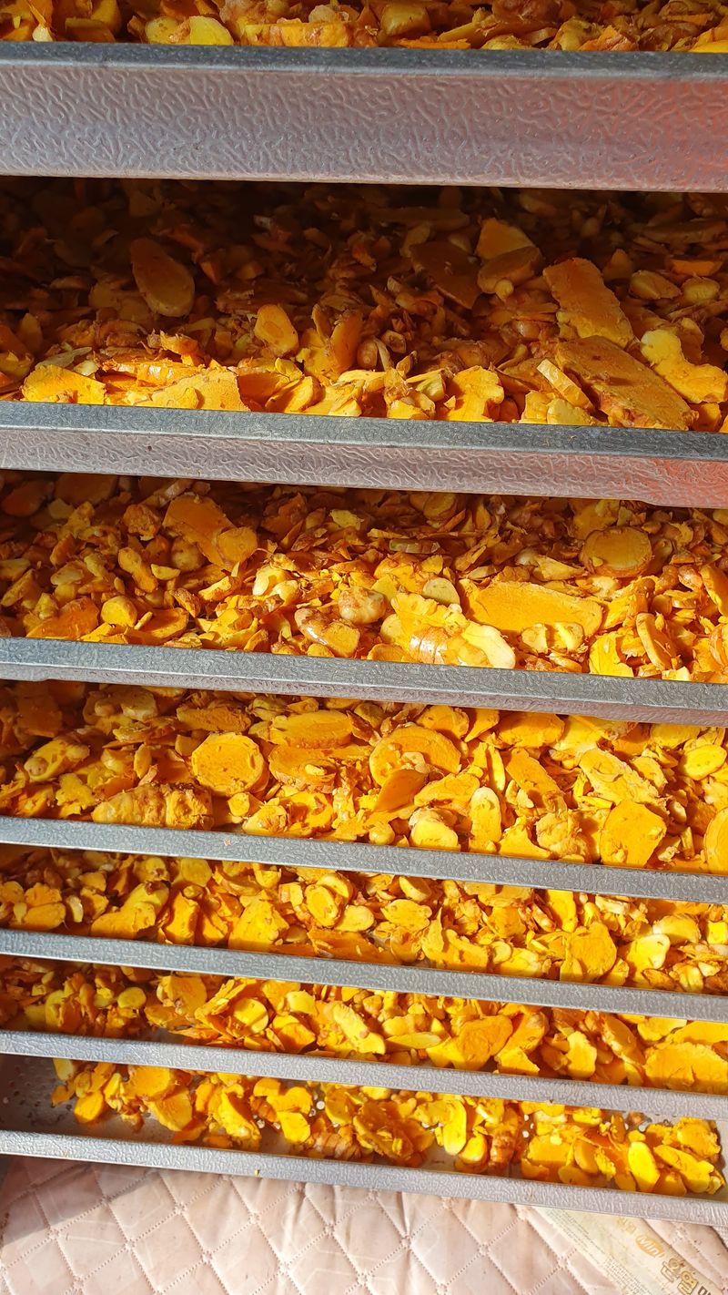 송죽암님의 장터 판매 상품 [강황(울금)가루 판매] 첨부 사진