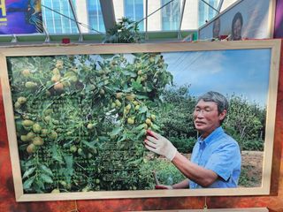 사이공박님의 자유주제 · 사진전 작성글 사진