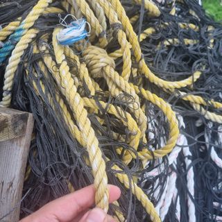 김민철님의 작성글 사진