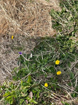 보리농장 고미경님의 자유주제 · 자유게시판 작성글 사진