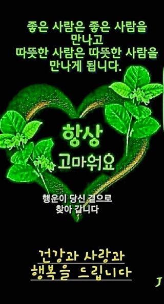 사과15865김도화님의 연말인사 같이해요💕 · 참여글 작성글 사진