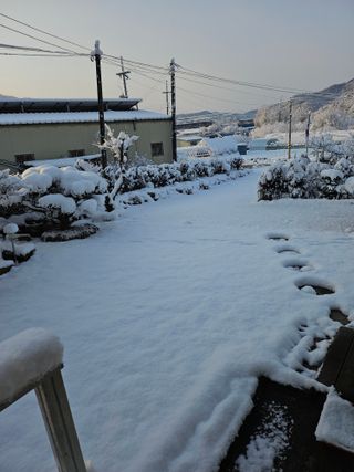 김제일주농장님의 자유주제 · 사진전 작성글 사진