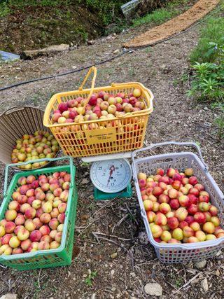 낙엽교목류21691님의 자유주제 · 칭찬해요 작성글 사진
