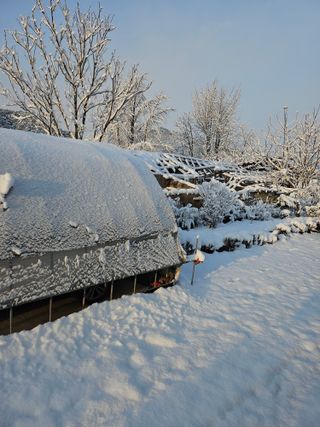김제일주농장님의 자유주제 · 사진전 작성글 사진