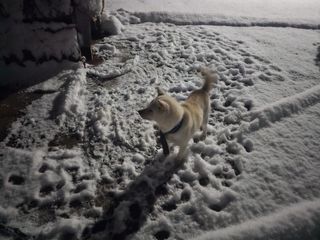 정광일님의 자유주제 · 자유게시판 작성글 사진