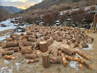 강원사랑인님의 자유주제 · 자유게시판 작성글 사진