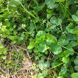 팜모닝 👍올해 나의 최고 자랑은?·참여글 게시글 이미지