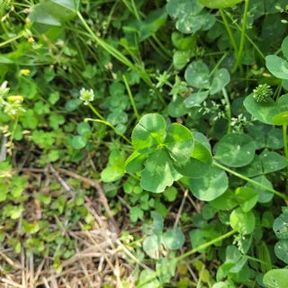 박정희 님의 👍올해 나의 최고 자랑은? · 참여글 작성글 사진