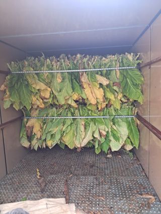 천년의사랑님의 👍올해 나의 최고 자랑은? · 참여글 작성글 사진