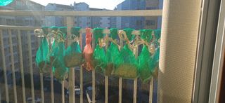 선한마음의 행복님의 농사에 새로운 기회가 주어진다면? · 참여글 작성글 사진