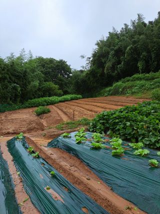 한병훈님의 농사에 새로운 기회가 주어진다면? · 참여글 작성글 사진
