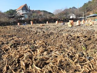 김복규님의 농사에 새로운 기회가 주어진다면? · 참여글 작성글 사진