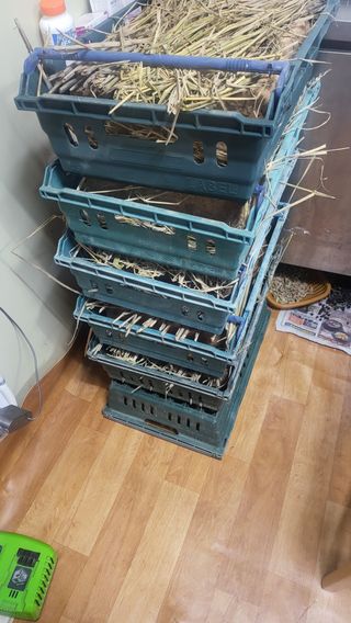 방촌대장님의 자유주제 · 자유게시판 작성글 사진