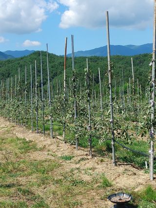 숲속의사나이님의 농사에 새로운 기회가 주어진다면? · 참여글 작성글 사진