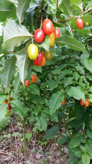 김태천님의 농사에 새로운 기회가 주어진다면? · 참여글 작성글 사진