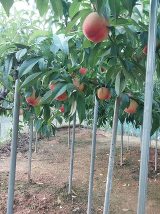 자연인님의 자유주제 · 자유게시판 작성글 사진