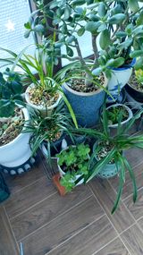 팜모닝 자유주제·자유게시판 게시글 이미지